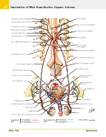 Frank H. Netter, MD - Atlas of Human Anatomy (6th ed ) 2014, page 437